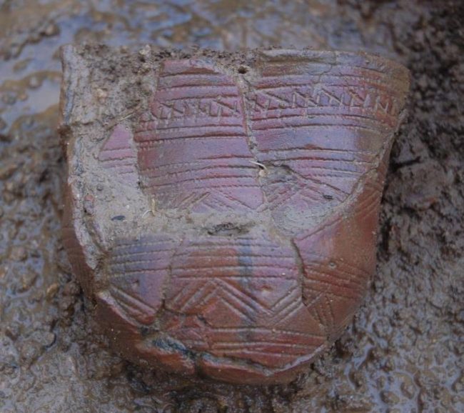Decorated Beaker pot during excavation