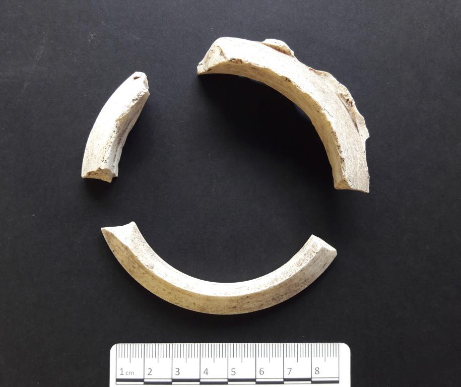 Three fragments of circular white kiln spacers