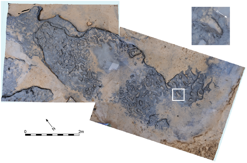 Happisburgh footprints