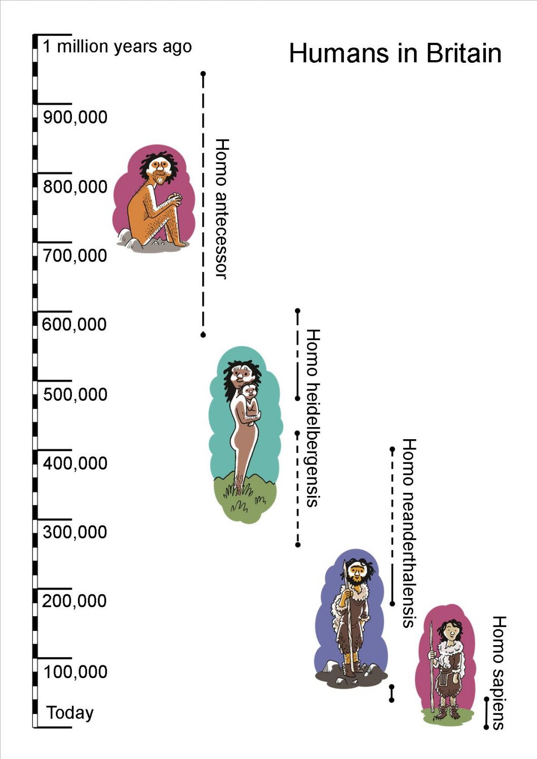 Timeline of hominins in Britain