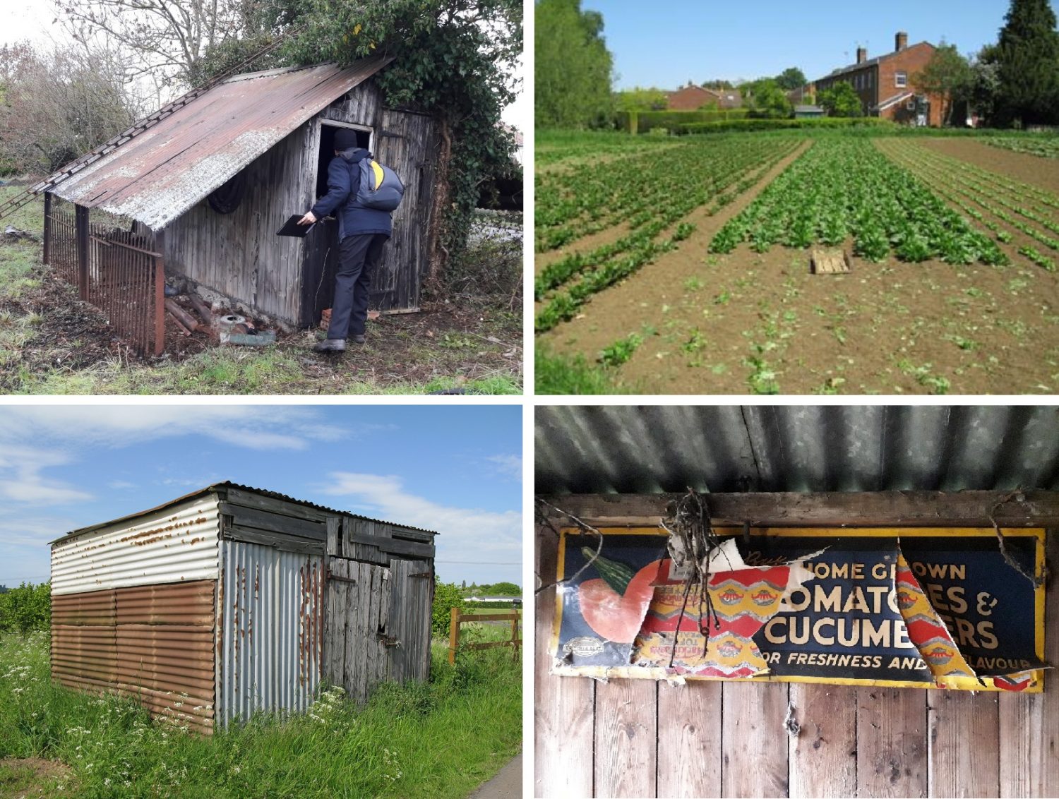 Market Gardening Heritage Worcestershire Archive Archaeology