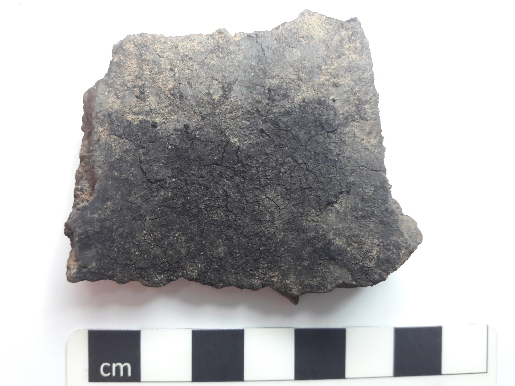 Sherd containing residue