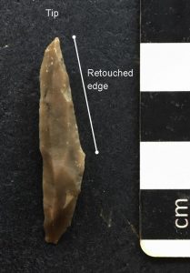 Mesolithic Obliquely-blunted point Herefordshire