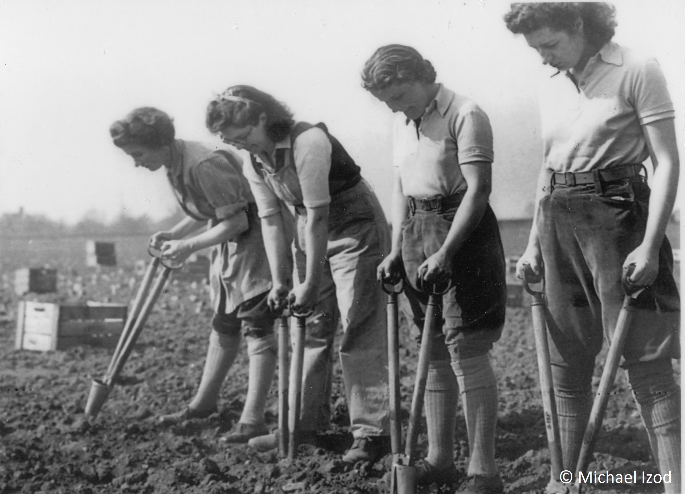 Land Army potato planting