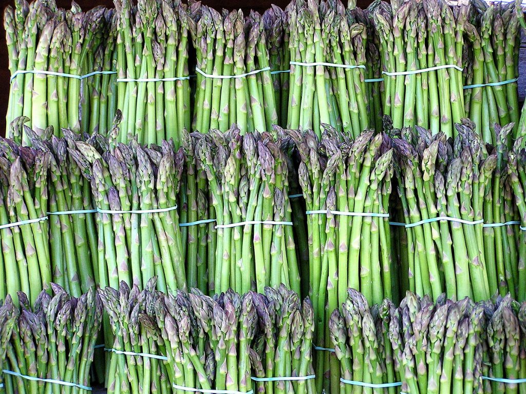 Asparagus & the Vale of Evesham Worcestershire Archive & Archaeology