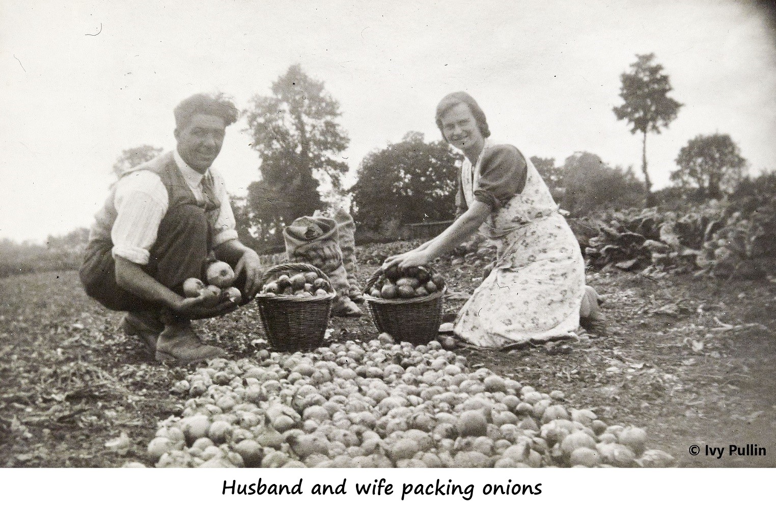 Couple packing onions