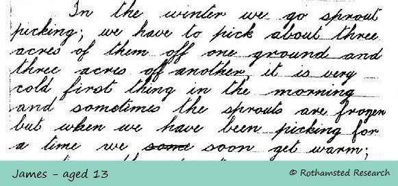 1933 letter extract - sprout picking