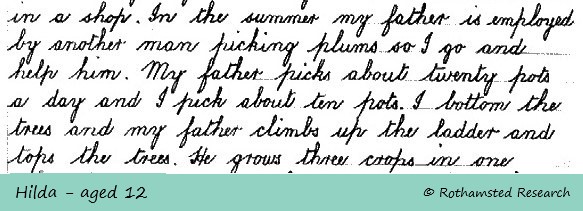 1933 letter extract - plum picking