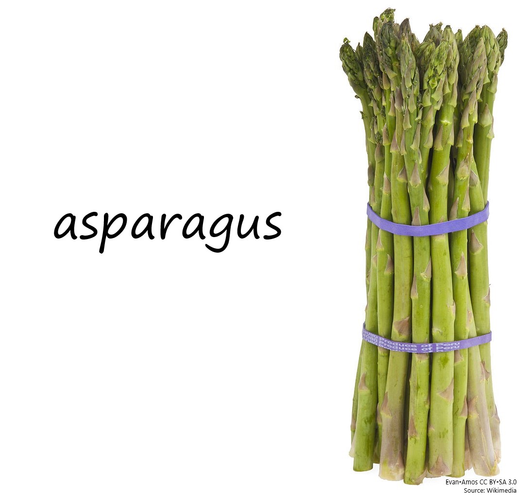 Asparagus photo labelled
