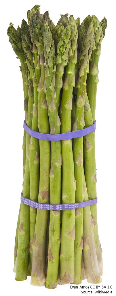 Asparagus