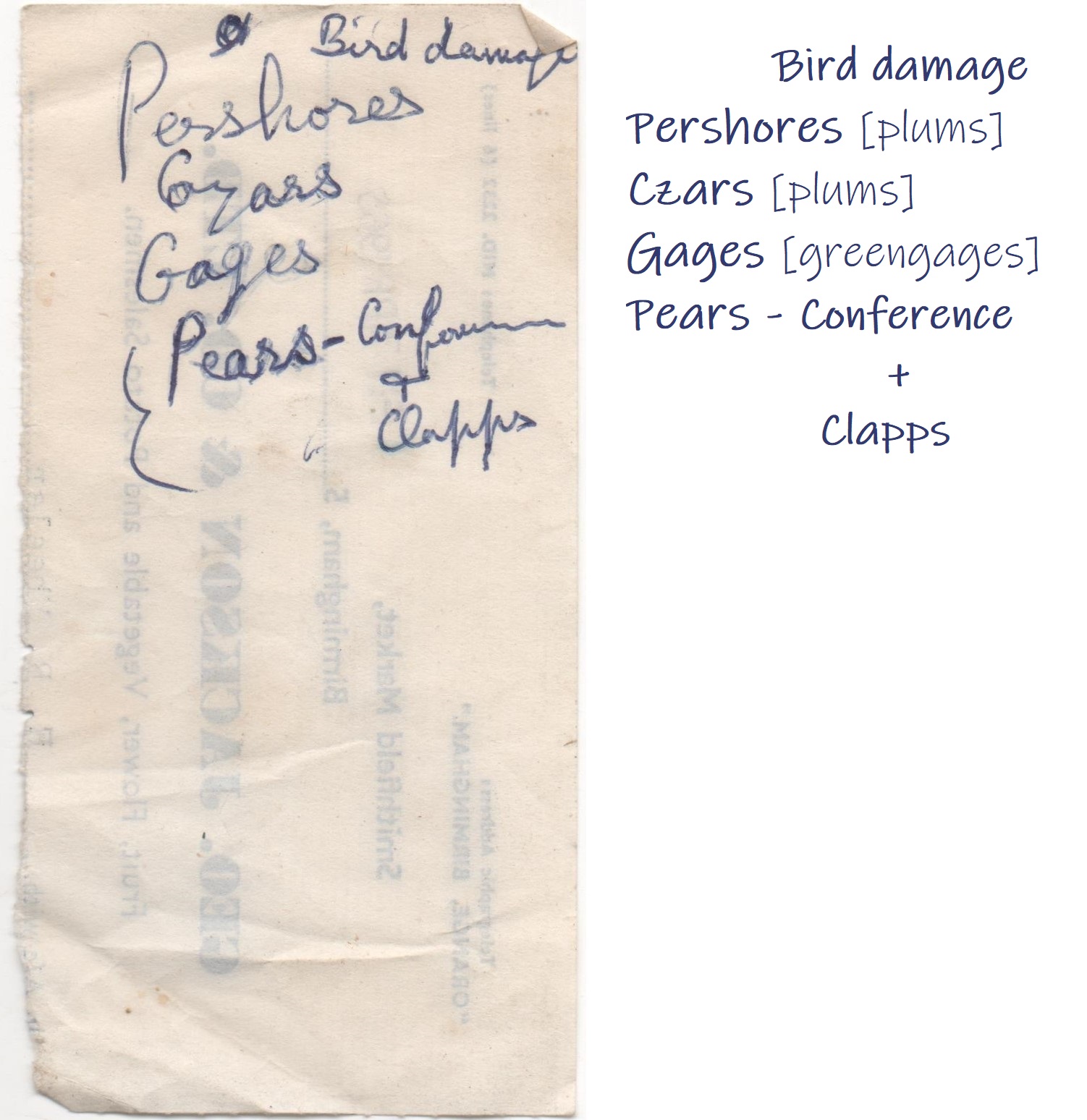 Bird damage annotated - Wheeler archive