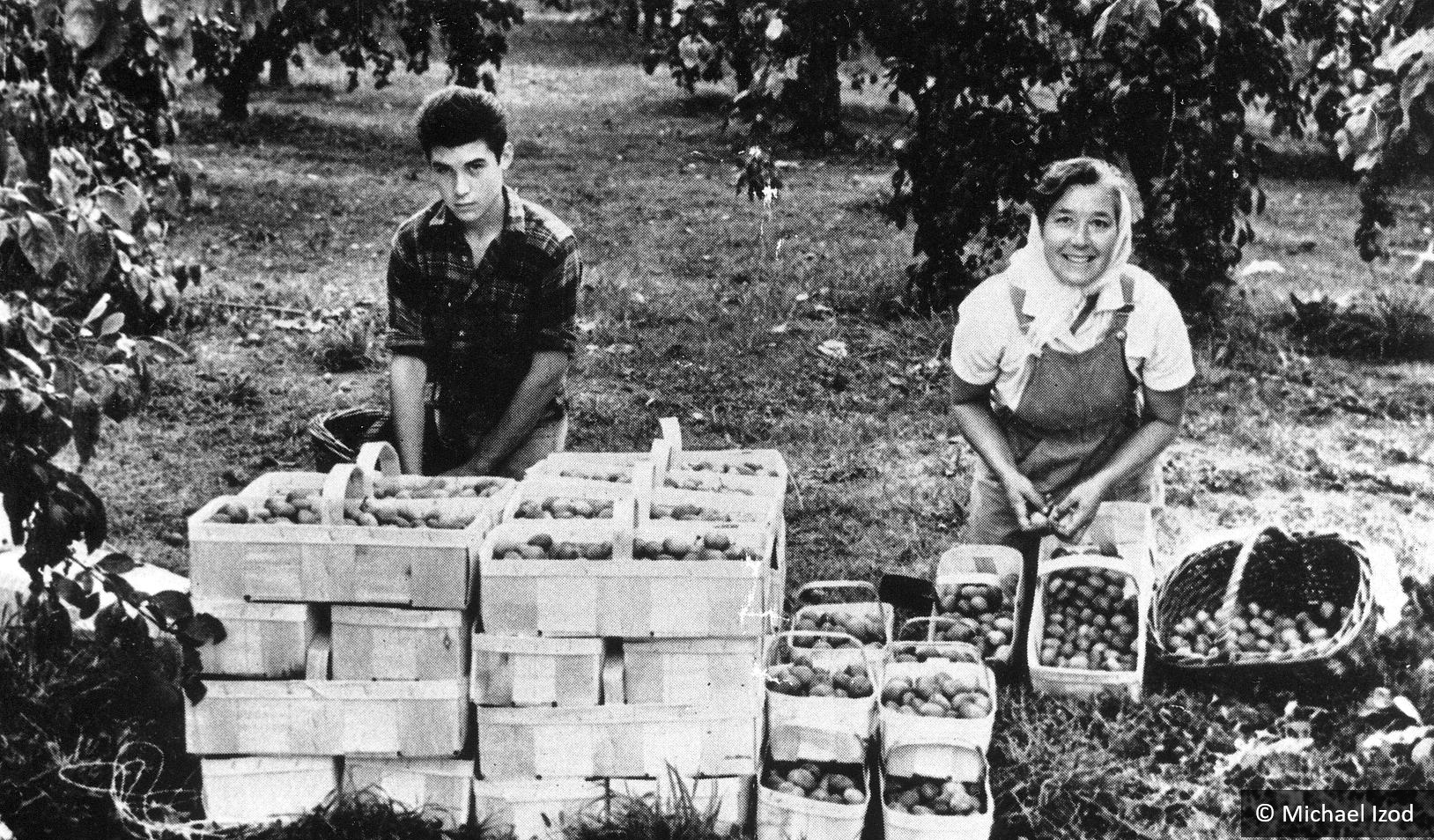 Mother & son plum picking