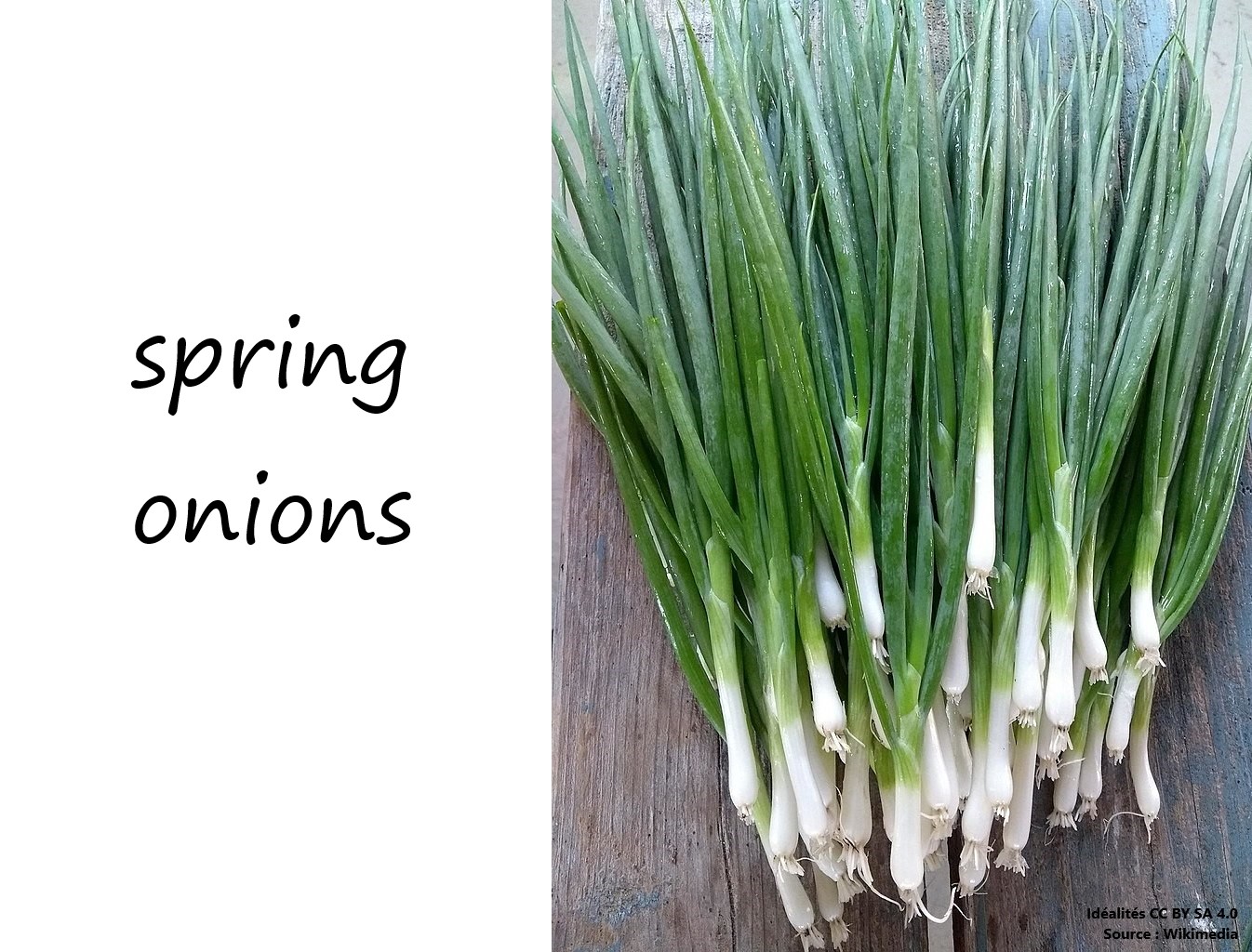 Spring onions photo labelled