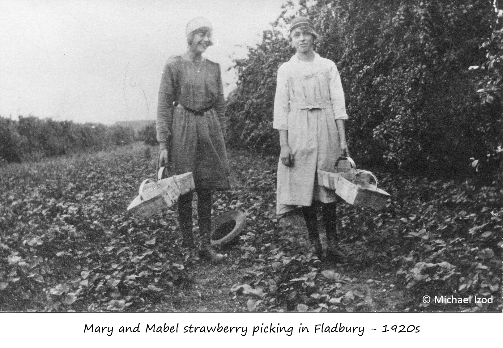 Strawberry picking - Michael Izod
