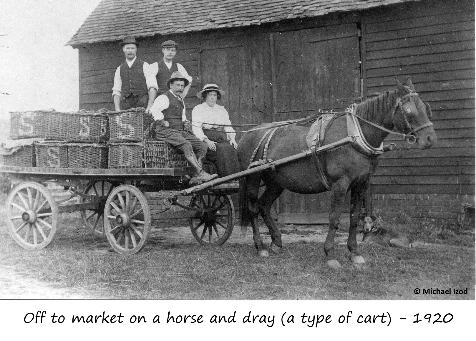 Off to market on horse and dray