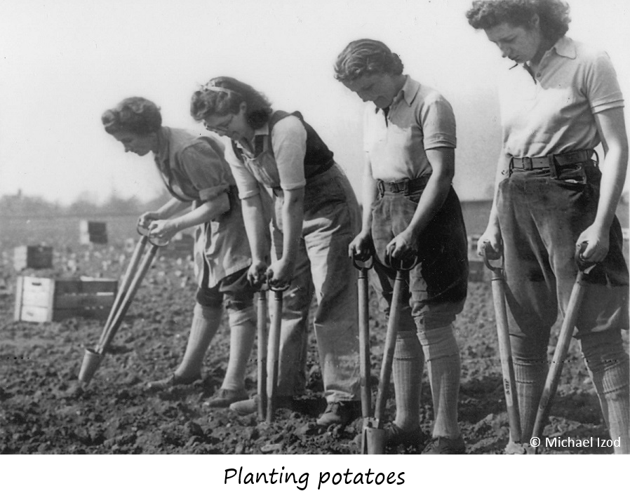 05 - potato planting