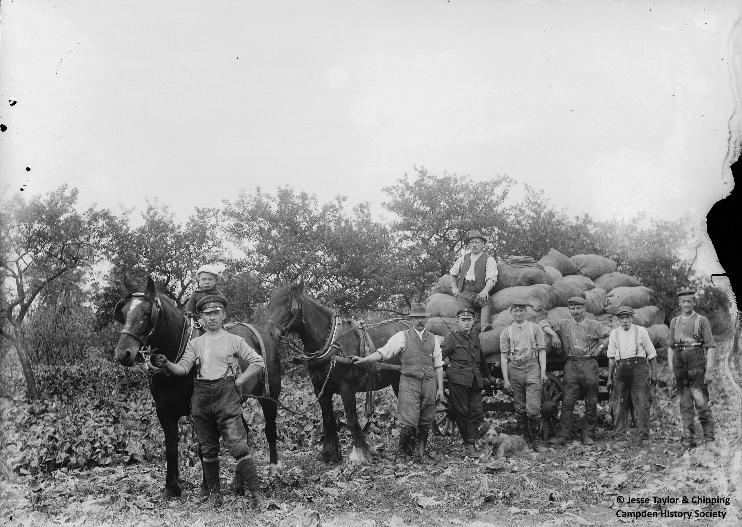 POWs working on the land