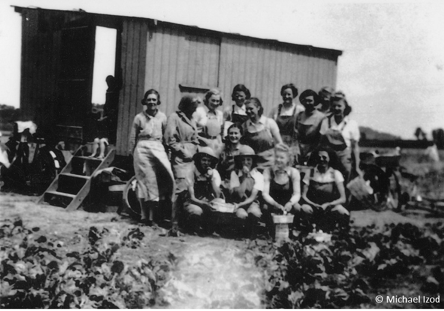 Informal shot of land girls by shed