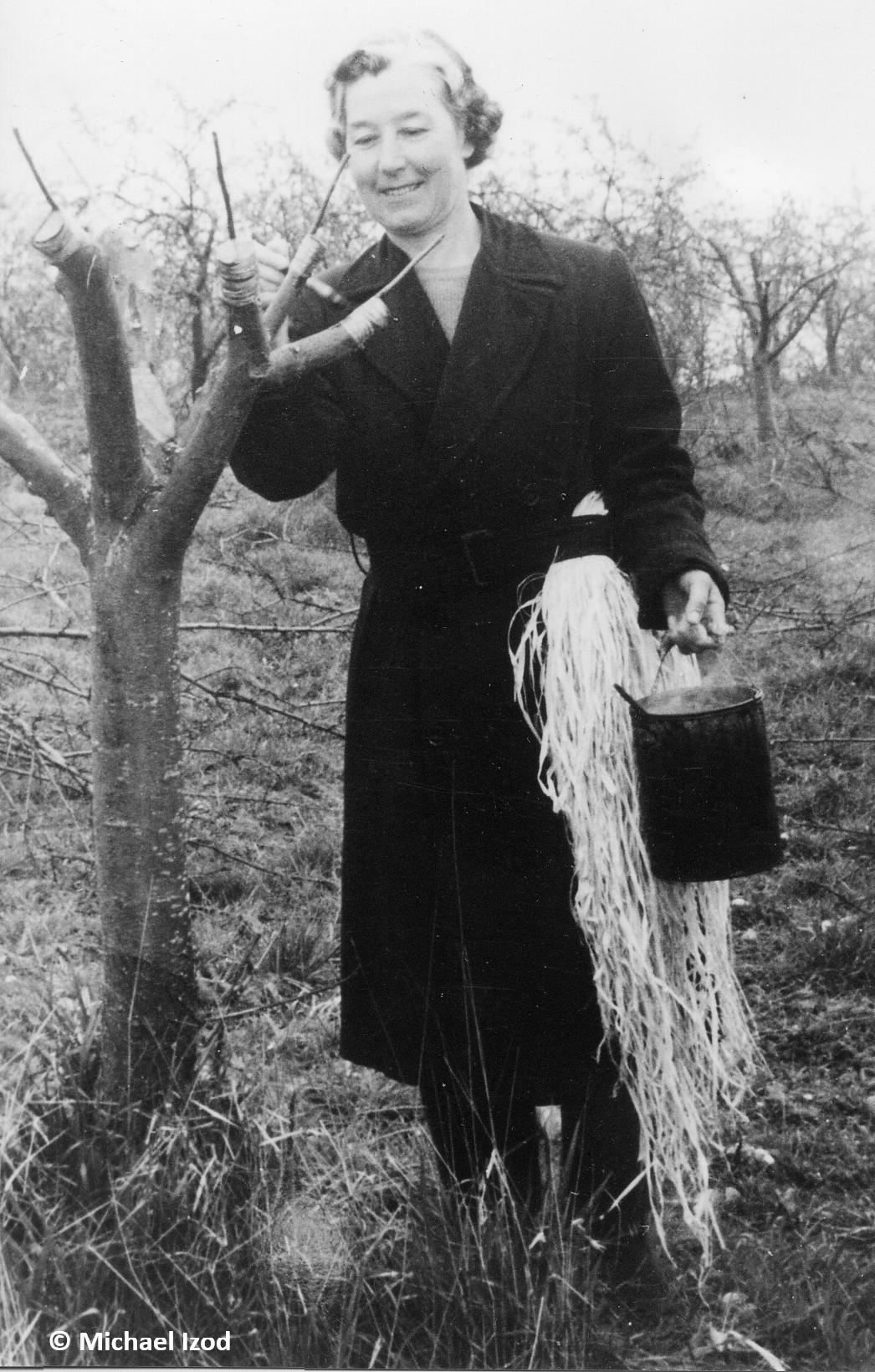 Woman grafting fruit tree