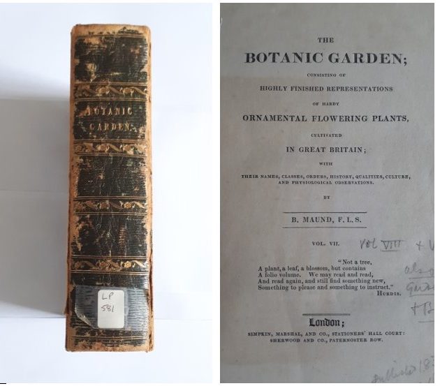 Spine & Title page of Volume VII of Maund’s The Botanic Garden at Ref LP 581