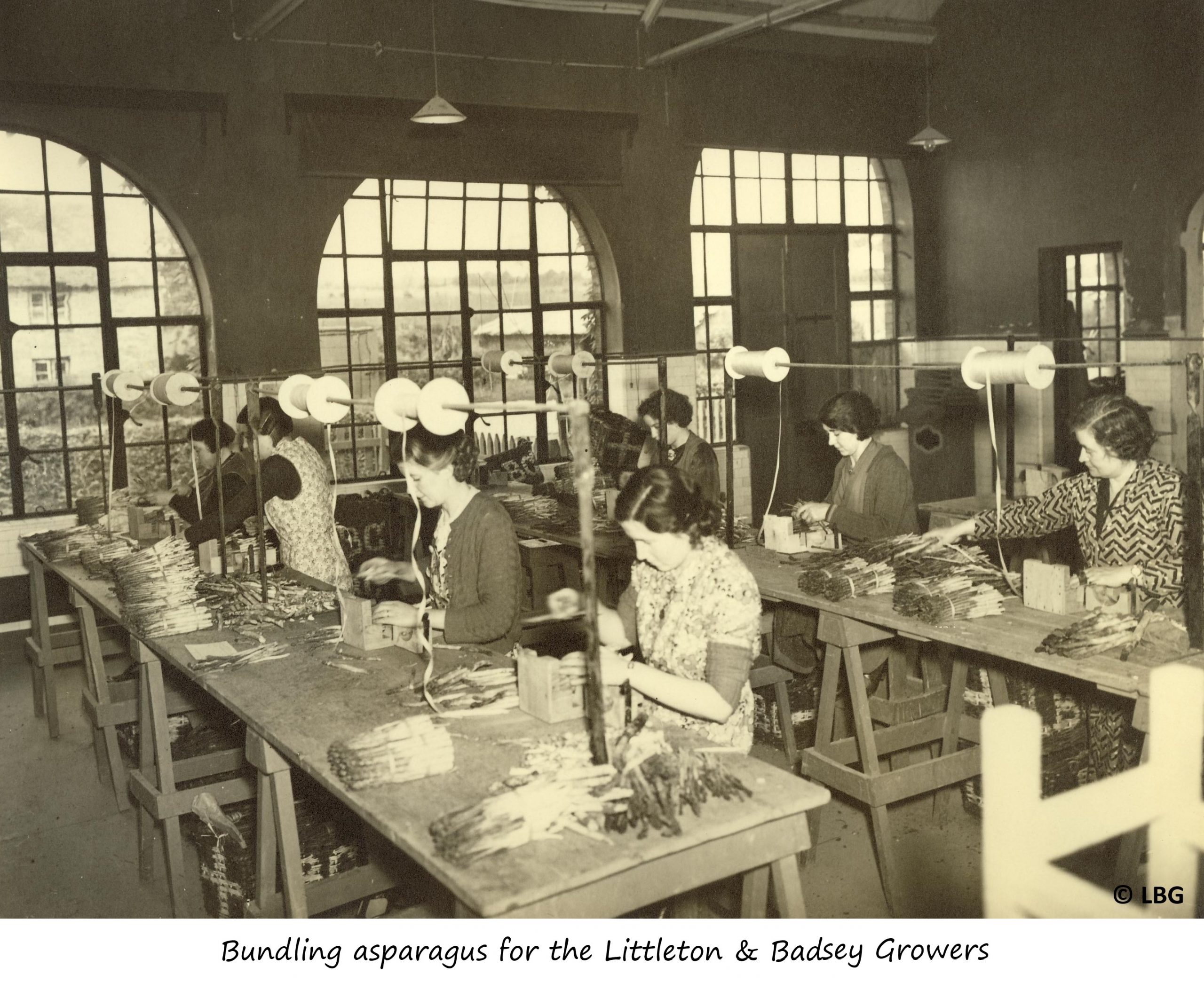 Women bundling asparagus for LBG