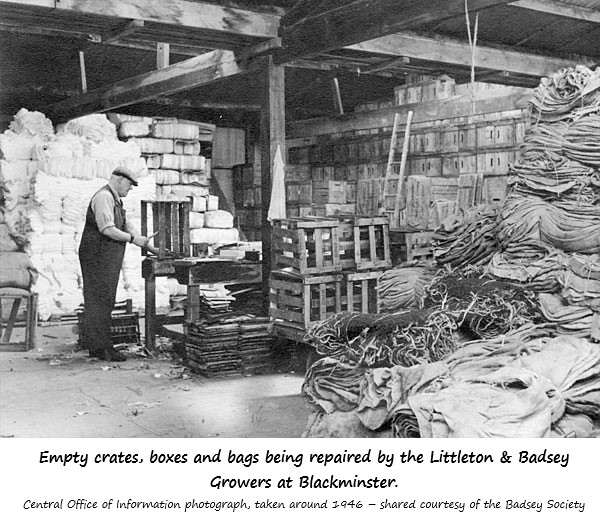 Man repairing empty crates