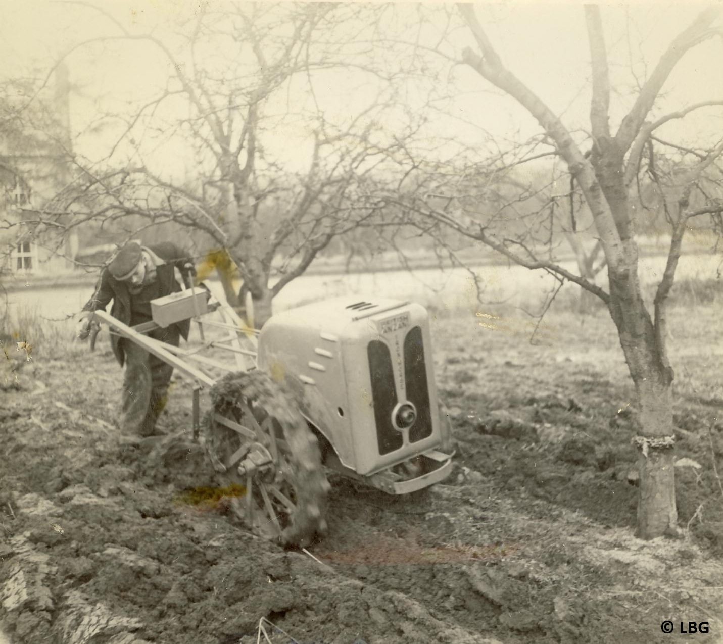 Motor powered tractor on market garden