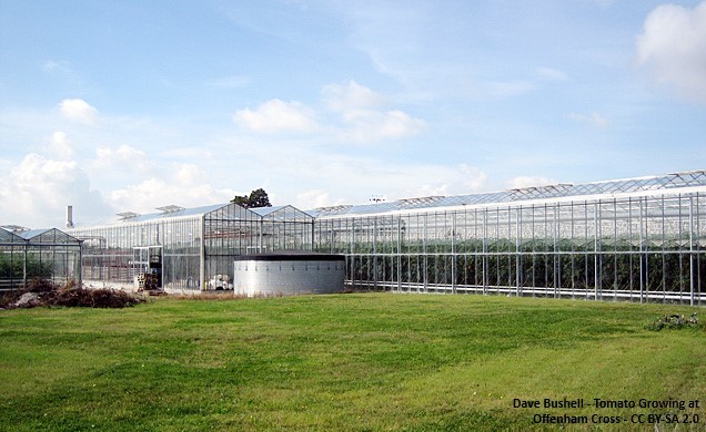 Offenham glasshouses