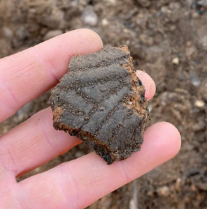 Late Neolithic/early Bronze Age Grooved Ware