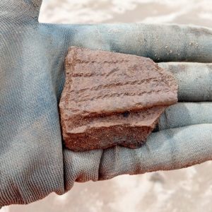 Image of a nicely decorated collared urn sherd