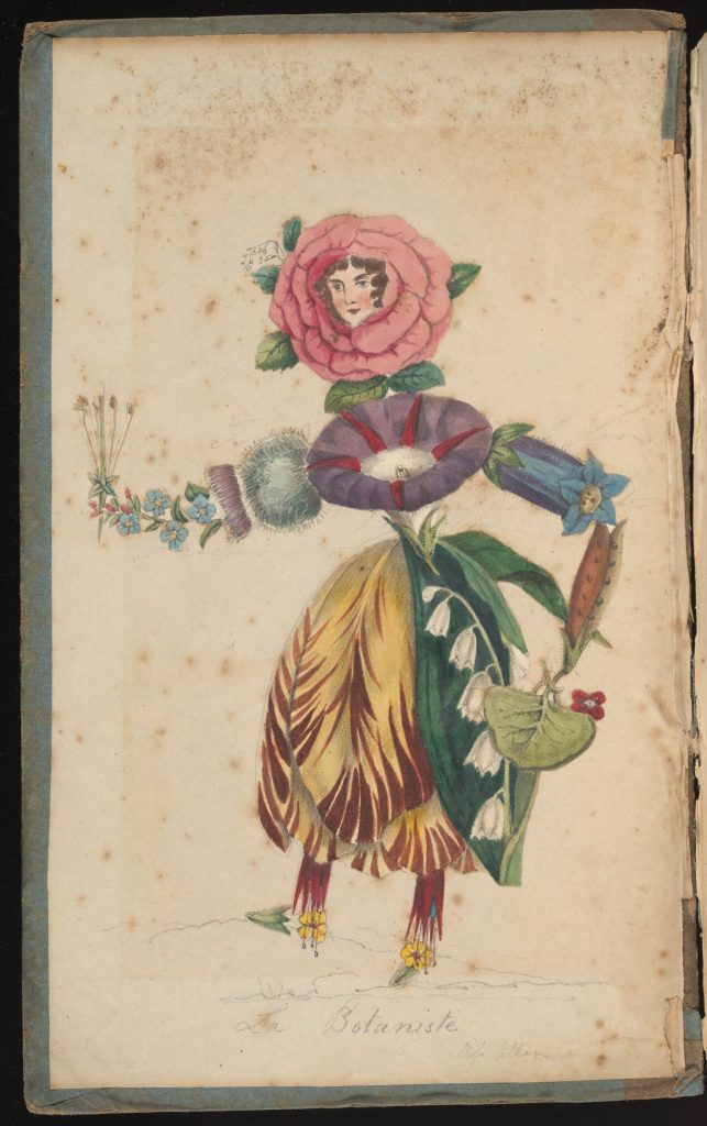 'La Botaniste'. Inside cover, The English flora, Sir James Edward Smith. 1824-1833. © RHS Lindley Collections