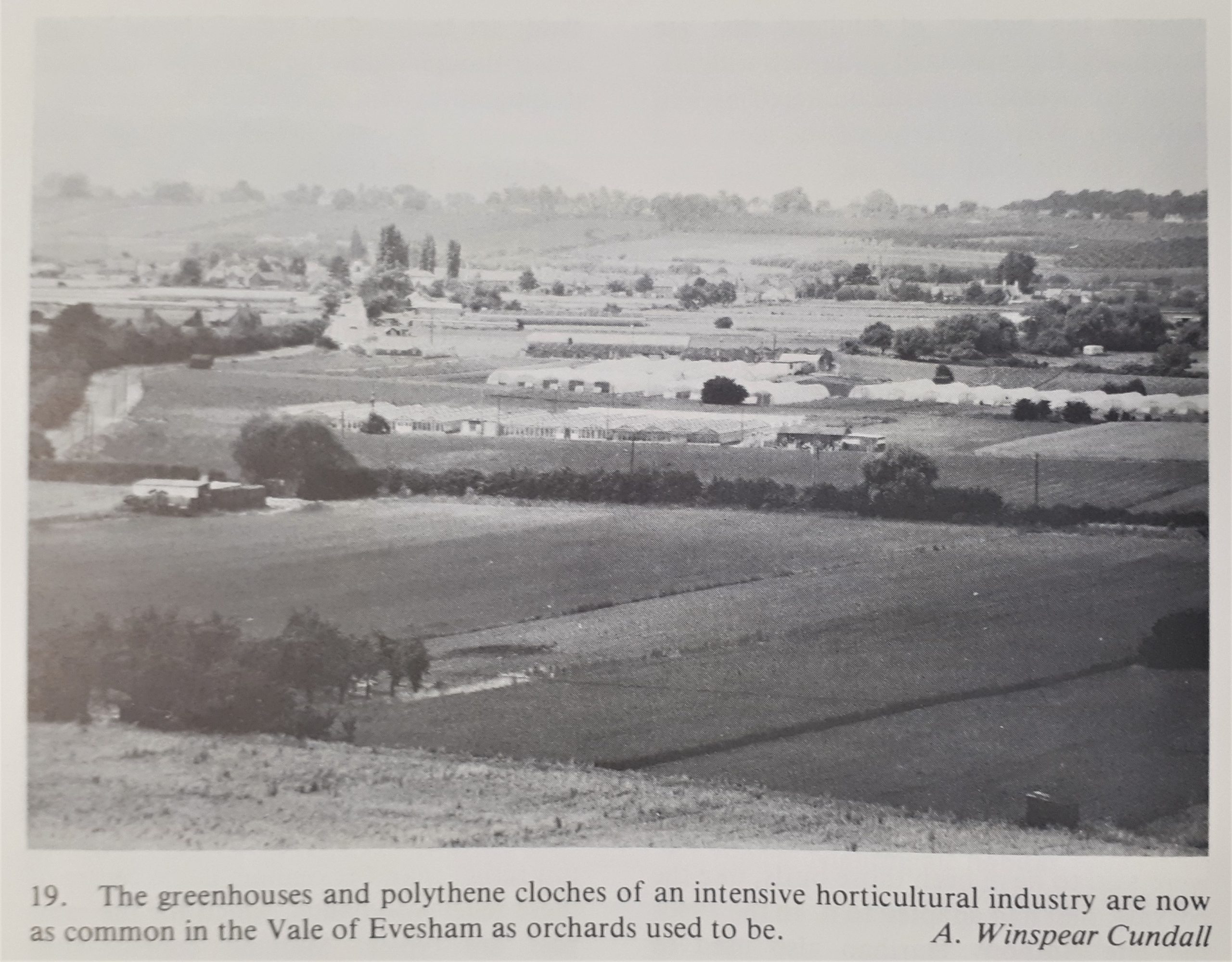 The greenhouses and polythene cloches of the Vale of Evesham in The Birds of West Midlands p91 © West Midlands Bird Club 1982