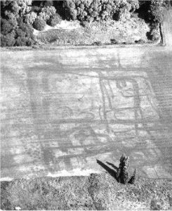 Birds eye view of a field demonstrating