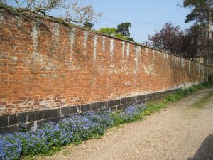Picture of a wall showing