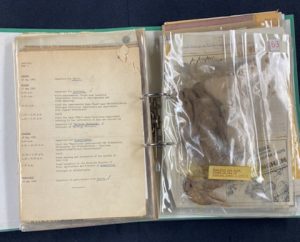 Picture of a mummified bird in amongst some documents