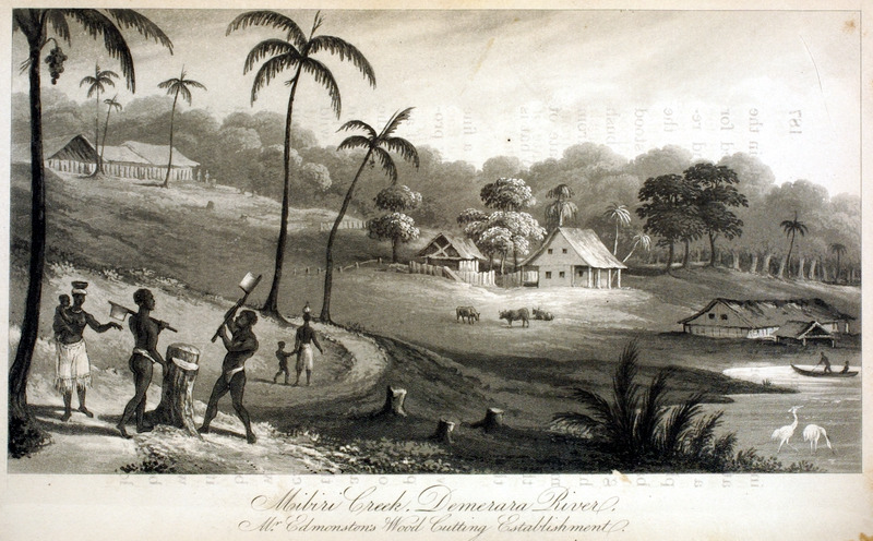 Timber Estate, British Guiana (Demerara), 1834. Source: Thomas Staunton St. Clair, A Residence in the West Indies and America (London, 1834), vol. 2, facing p. 187. 