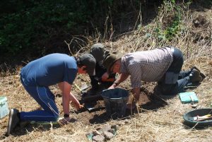 People looking into a test pit