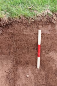 Musket ball as excavated showing its burial in the upper flood silts