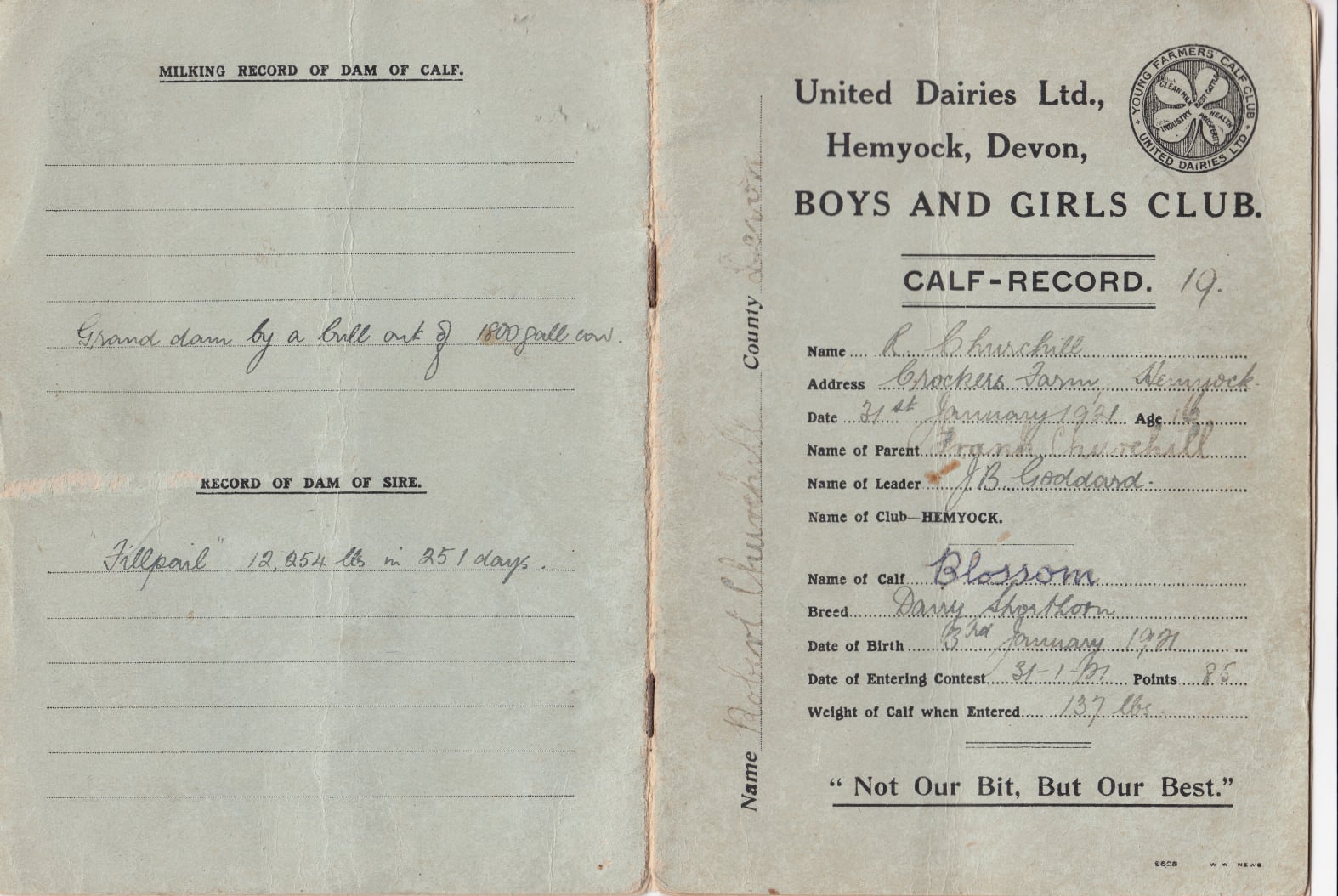 Robert Churchill’s Calf Club Calf-Record from January 1921 for 'Blossom' Reproduced from the Calf Club Centenary Facebook Group, Hemyock