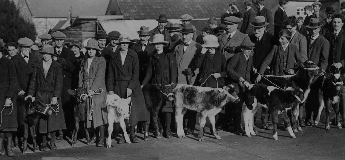 Hemyock Calf Club, Devon, 1921 taken from the Calf Club Centenary group