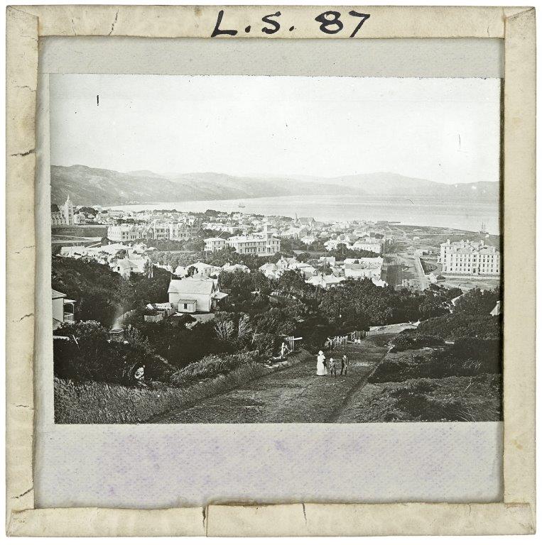 1880s photo of Wellington New Zealand