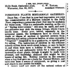 Copy of article in newspaper