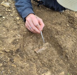 Archaeologist excavating a Saxon comb