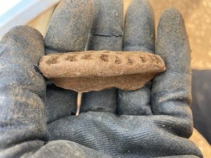 Impressed ware decorated using bird bone in an archaeologists hand.