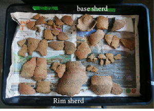 Image showing large amount of pot sherds in a tray highlighting Base and Rim of the beaker.