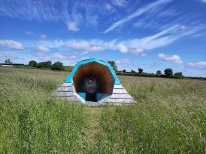 A wooden sculpture in a green field under a blue sky.