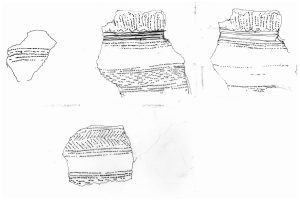 Each section drawn separately 