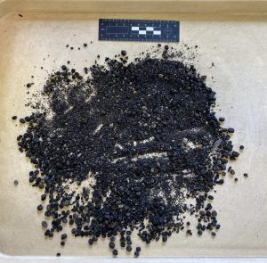 The charred remains of beans