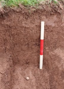 musket-ball-as-excavated-showing-its-burial-in-the-upper-flood-silts