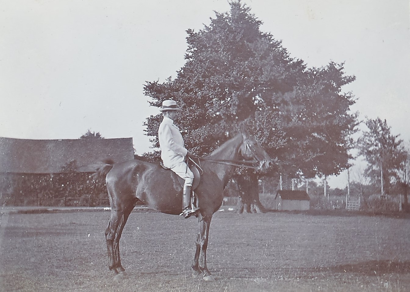 Black and white photograph of a man on a horse stood by a tree